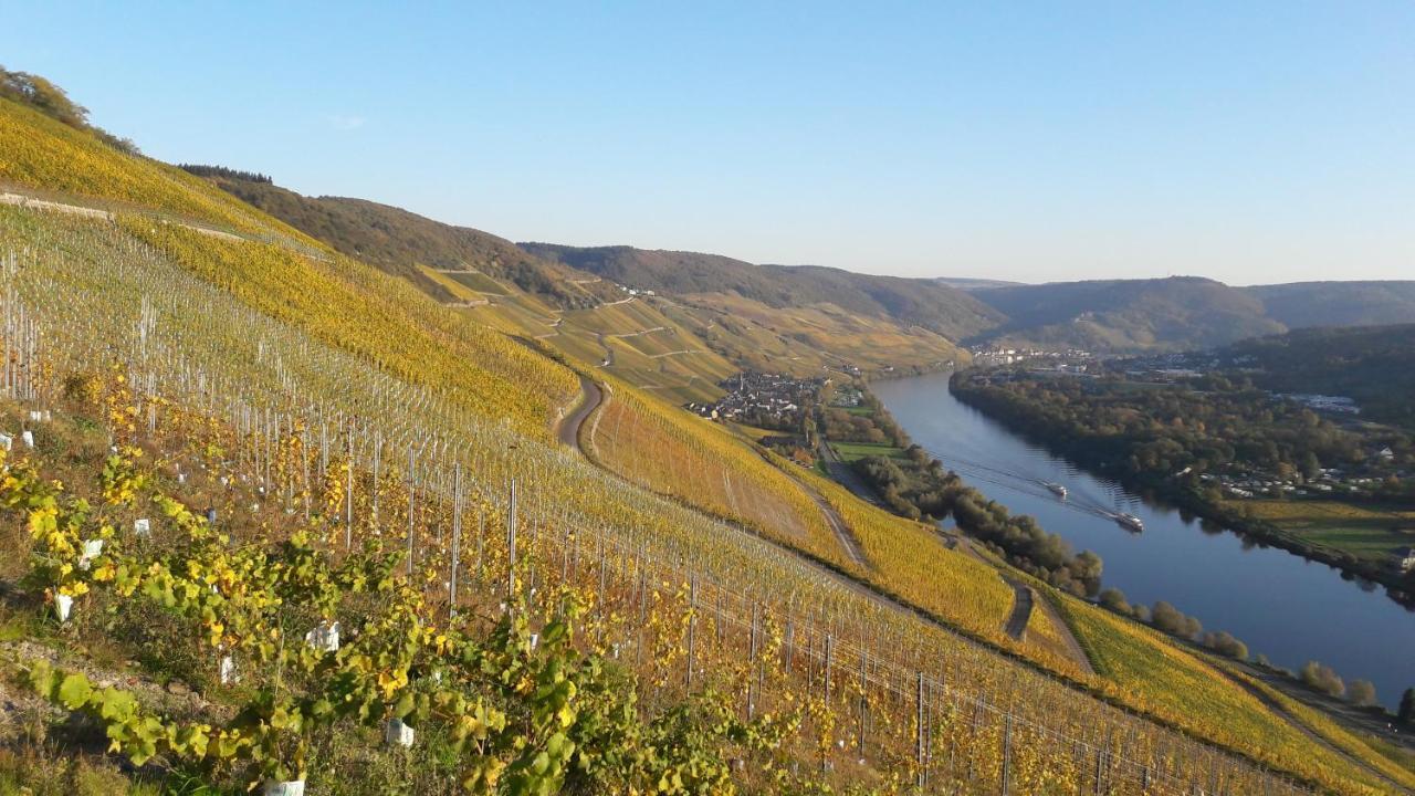 Wein- Und Landhaus S A Pruem Bernkastel-Kues Exterior foto